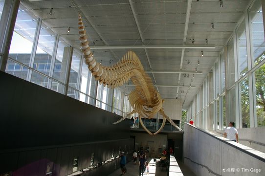 Nantucket Whaling Museum