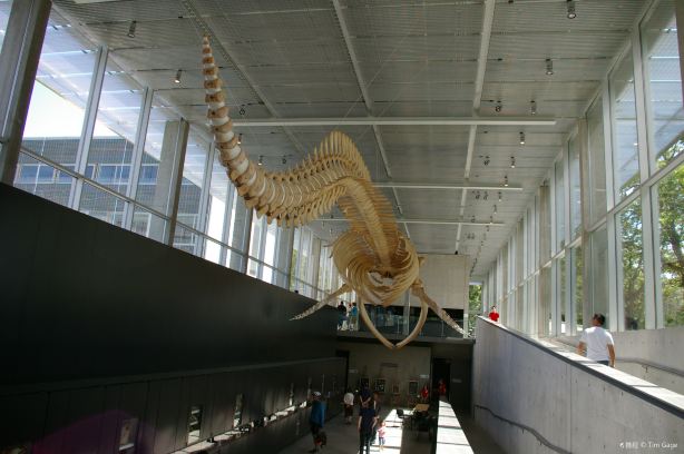 Nantucket Whaling Museum