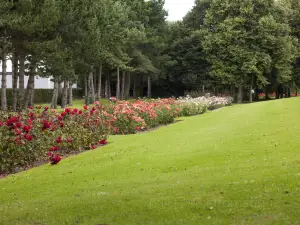 Central Park Rose Garden