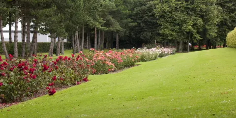 Central Park Rose Garden