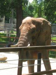 巴爾的摩動物園