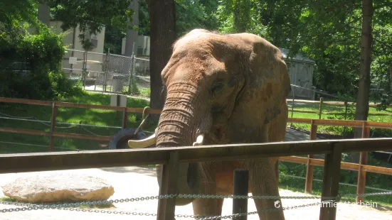 巴爾的摩動物園