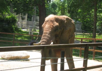 巴爾的摩動物園