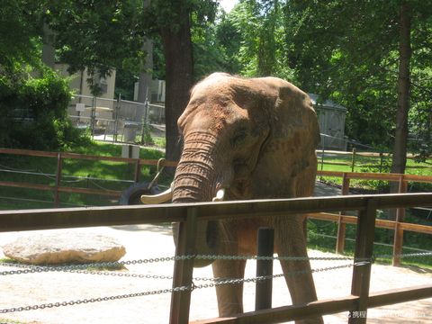 The Maryland Zoo in Baltimore