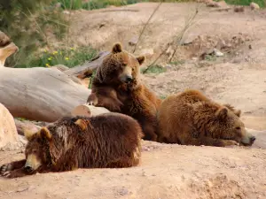 Terra Natura Murcia