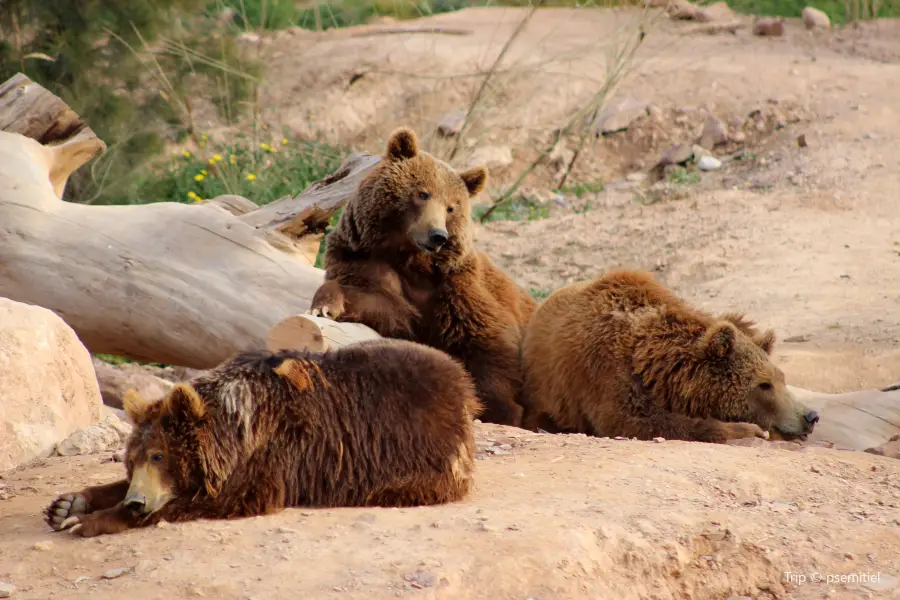 Terra Natura Murcia