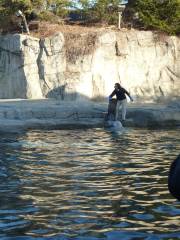 ミスティック水族館