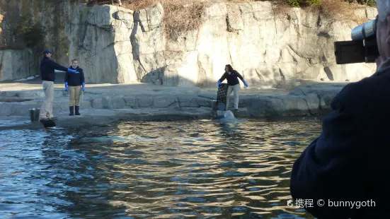 ミスティック水族館