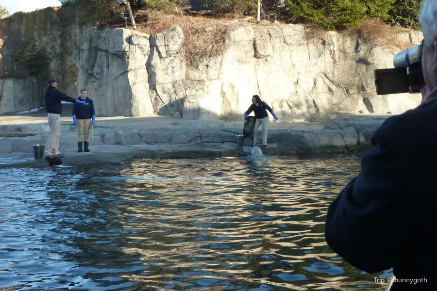 Mystic Aquarium