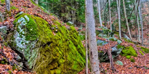 South Cumberland State Park