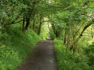 National Trust - Heddon Valley
