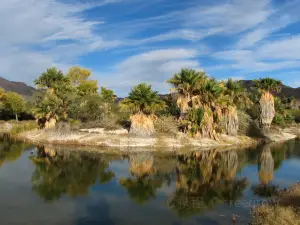 Agua Caliente Regional Park