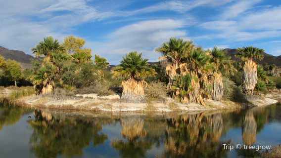 Agua Caliente Regional Park