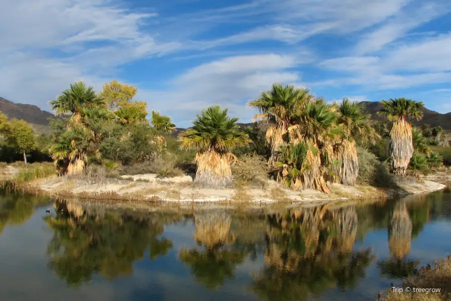 Agua Caliente Regional Park