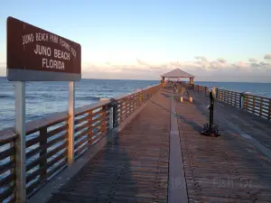 Juno Beach Pier