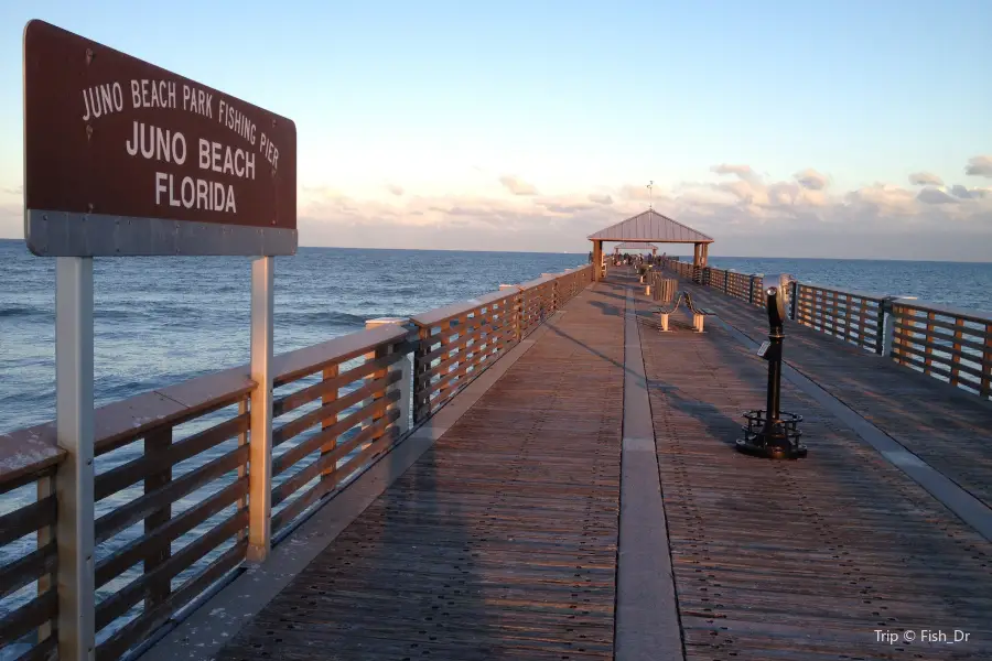 Juno Beach Pier