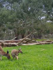 クルランド保護公園