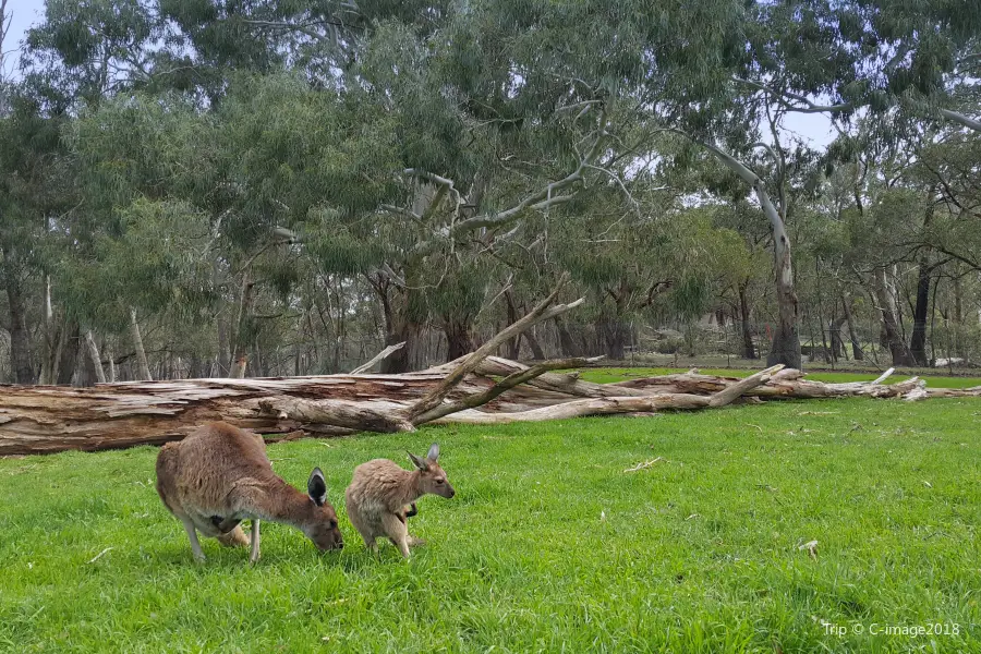 Cleland Conservation Park