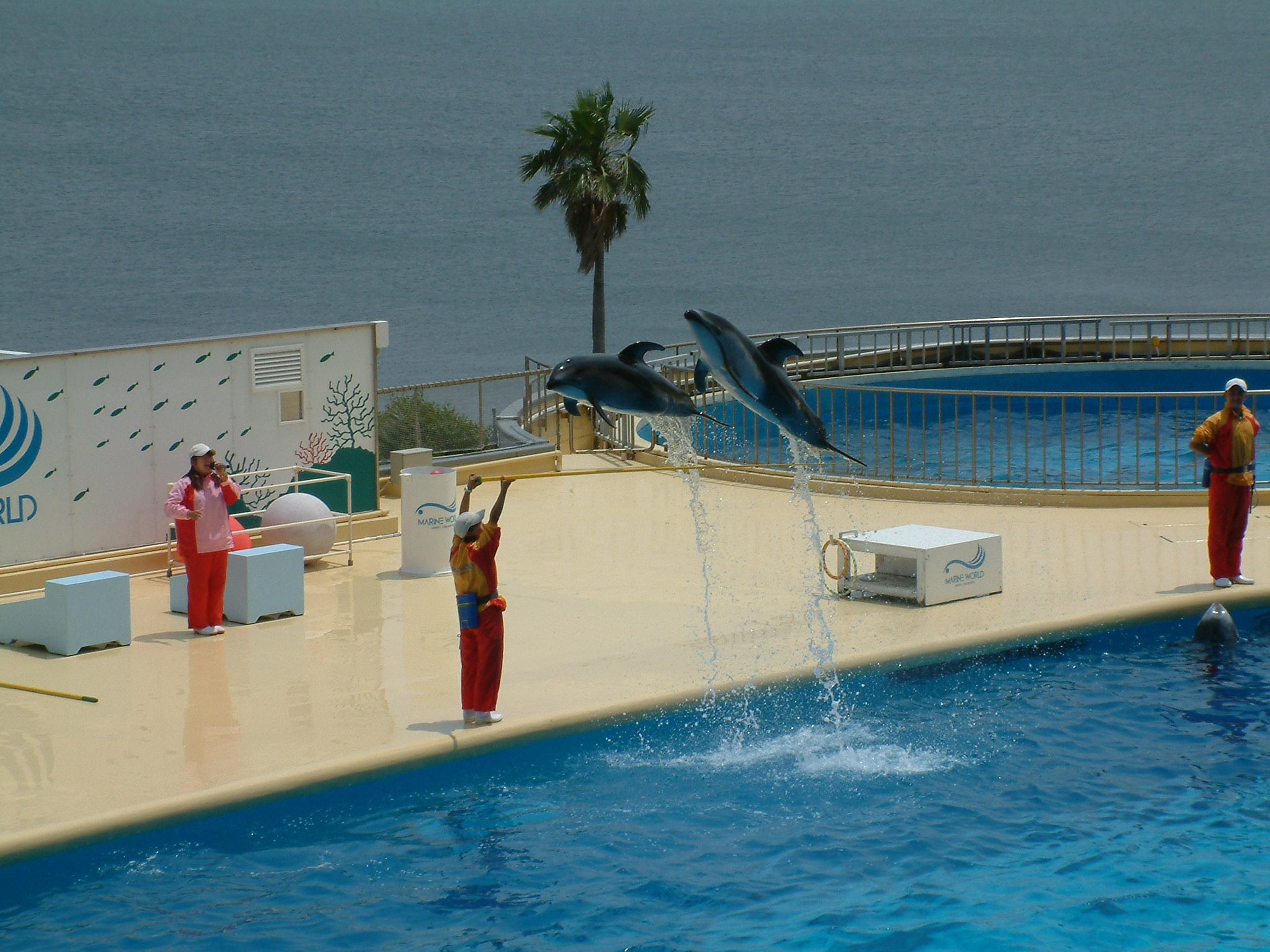 福岡 マリンワールド海の中道 入場Eチケット 予約（即日発券）