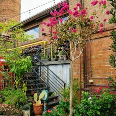 The Grounds of Alexandria User Photo