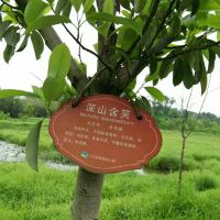 評論圖片 5