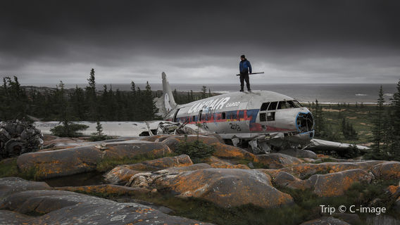 Miss Piggy Plane Wreck