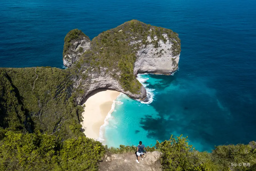 Kelingking Beach Nusa Penida