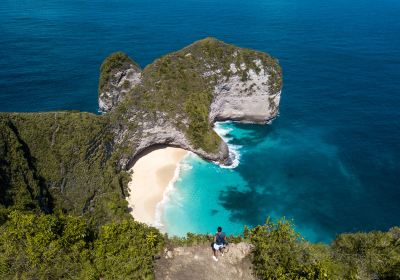 Kelingking Beach