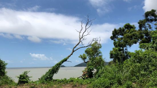 澳门的海滩，属于逛到无处可逛才会来的景点，不过真的好安静，几