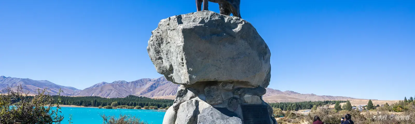 Lake TekapoTur Satu Hari