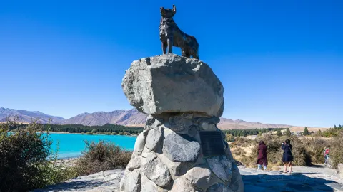Lake Tekapo travel destination