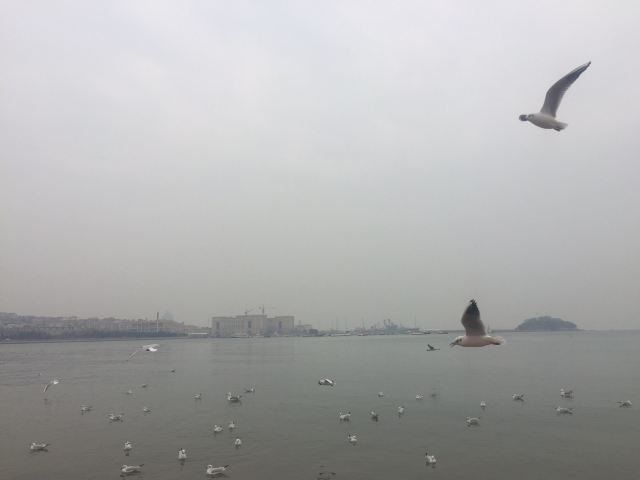 Zhanqiao Pier