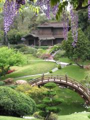 The Huntington Library, Art Museum, and Botanical Gardens