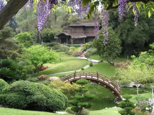The Huntington Library, Art Museum, and Botanical Gardens
