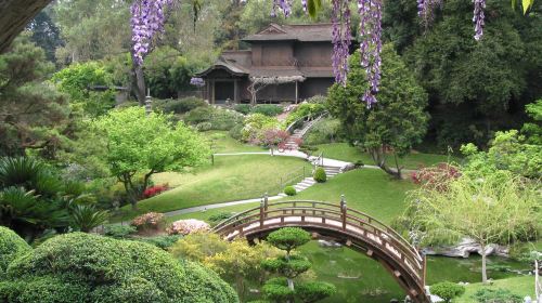 The Huntington Library, Art Museum, and Botanical Gardens