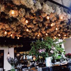 Peking Garden User Photo