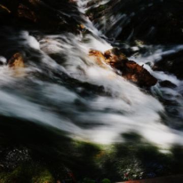 評論圖片 5