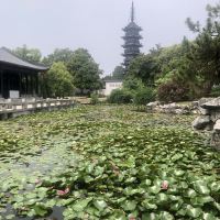 評論圖片 6