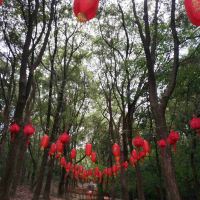 評論圖片 5