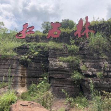 評論圖片 2