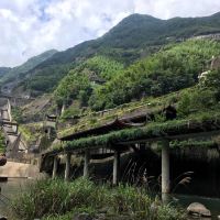 評論圖片 2