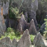 評論圖片 3