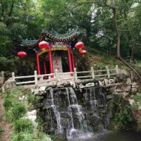 評論圖片 3