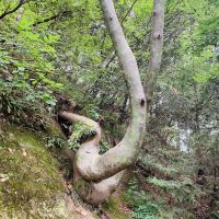 評論圖片 5