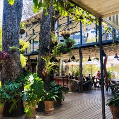 Zambezi House 여행 사진