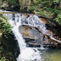 評論圖片 5