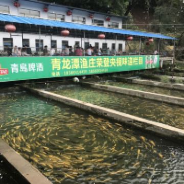 評論圖片 8