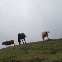評論圖片 1