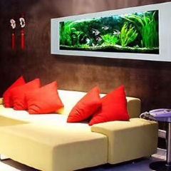 肯德基(仁化店) User Photo