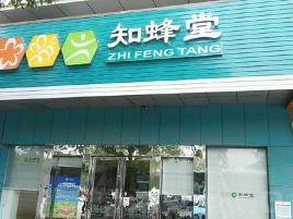 知蜂堂